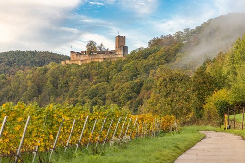Landeck © Quellennennung bei Bildbenutzung Knut Pflaumer, Pfalz Touristik e.V.