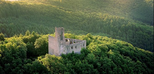 Château du Spesbourg  • Spesburg © OT pays de Barr